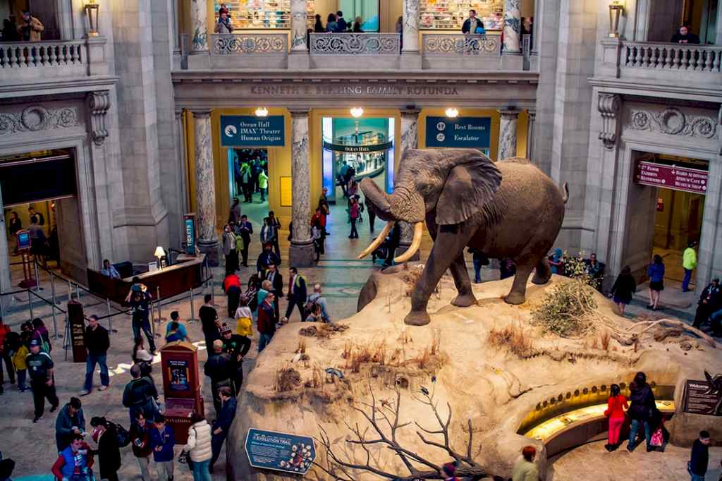Indian Museum of National History.jpg